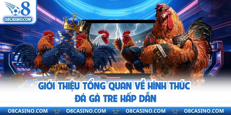 Giới thiệu tổng quan về hình thức đá gà tre hấp dẫn